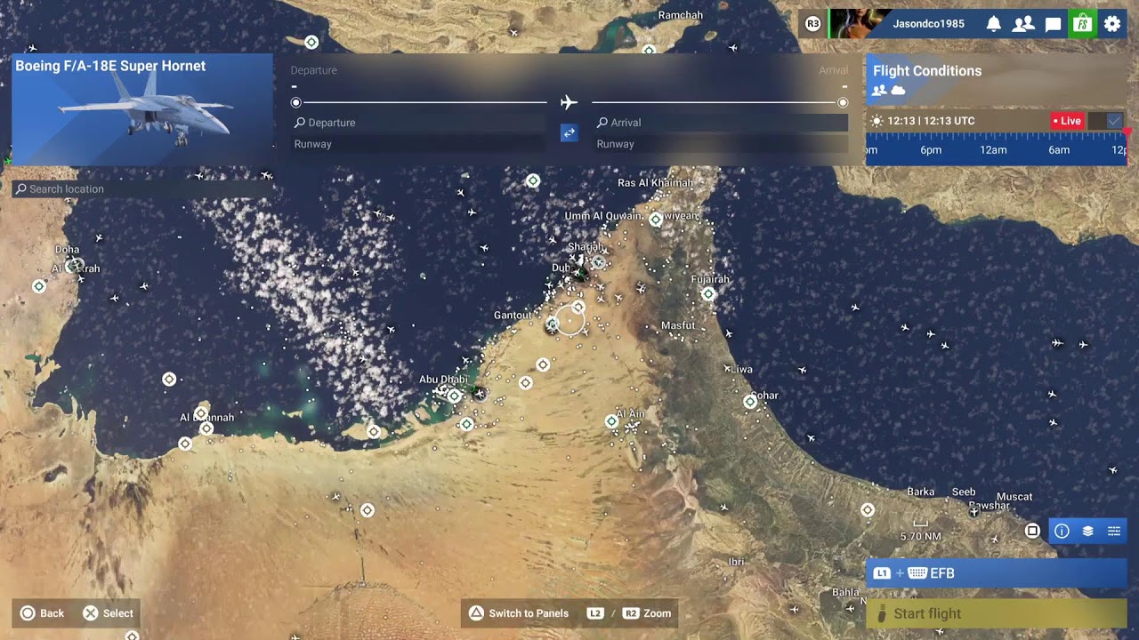 Microsoft flight simulator Online