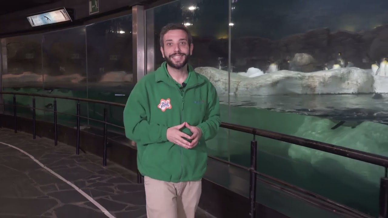 ¡Descubre el Ecosistema Polar!