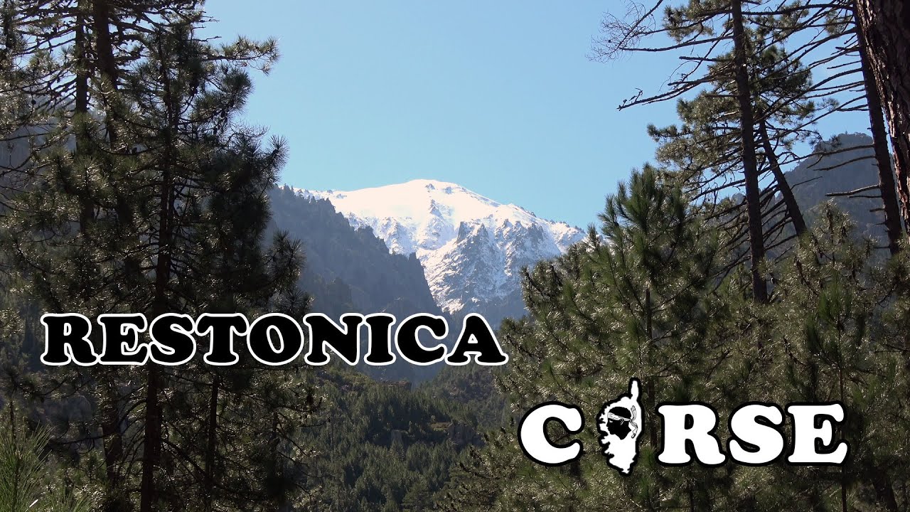 CORSE : Gorges de la Restonica