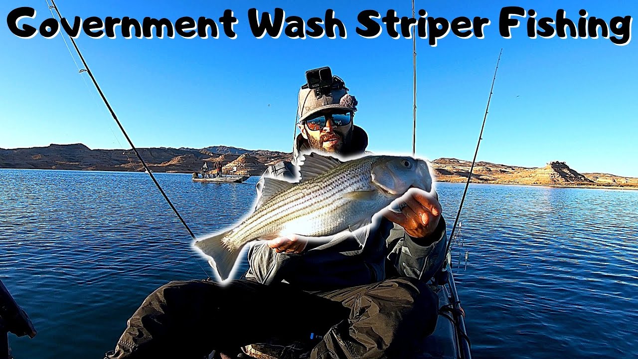 Government Wash Striped Bass Fishing!