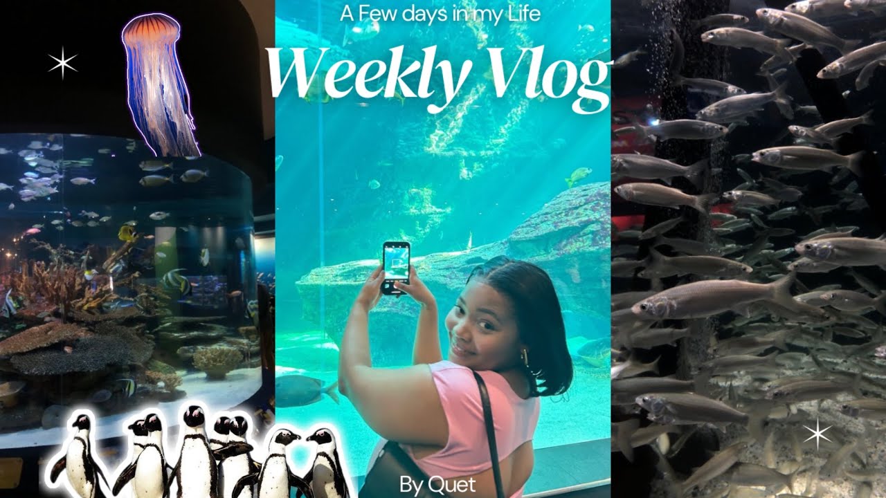 VLOG: Two Oceans Aquarium | Branch with friends |Trying out a new place 