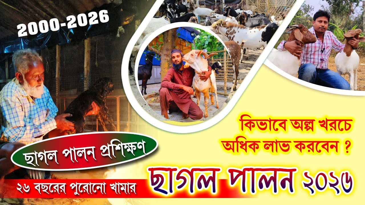 Как начать разведение коз в 2026 году #козоводство