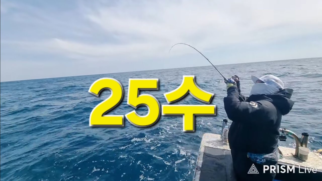 제주 갑오징어낚시 장박 15일차 달립니다  #낚시 #갑오징어낚시