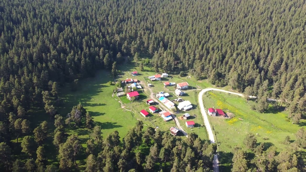 KIZIK YAYLASI BOLU 🌲🐿️🌱🏕️🛩️