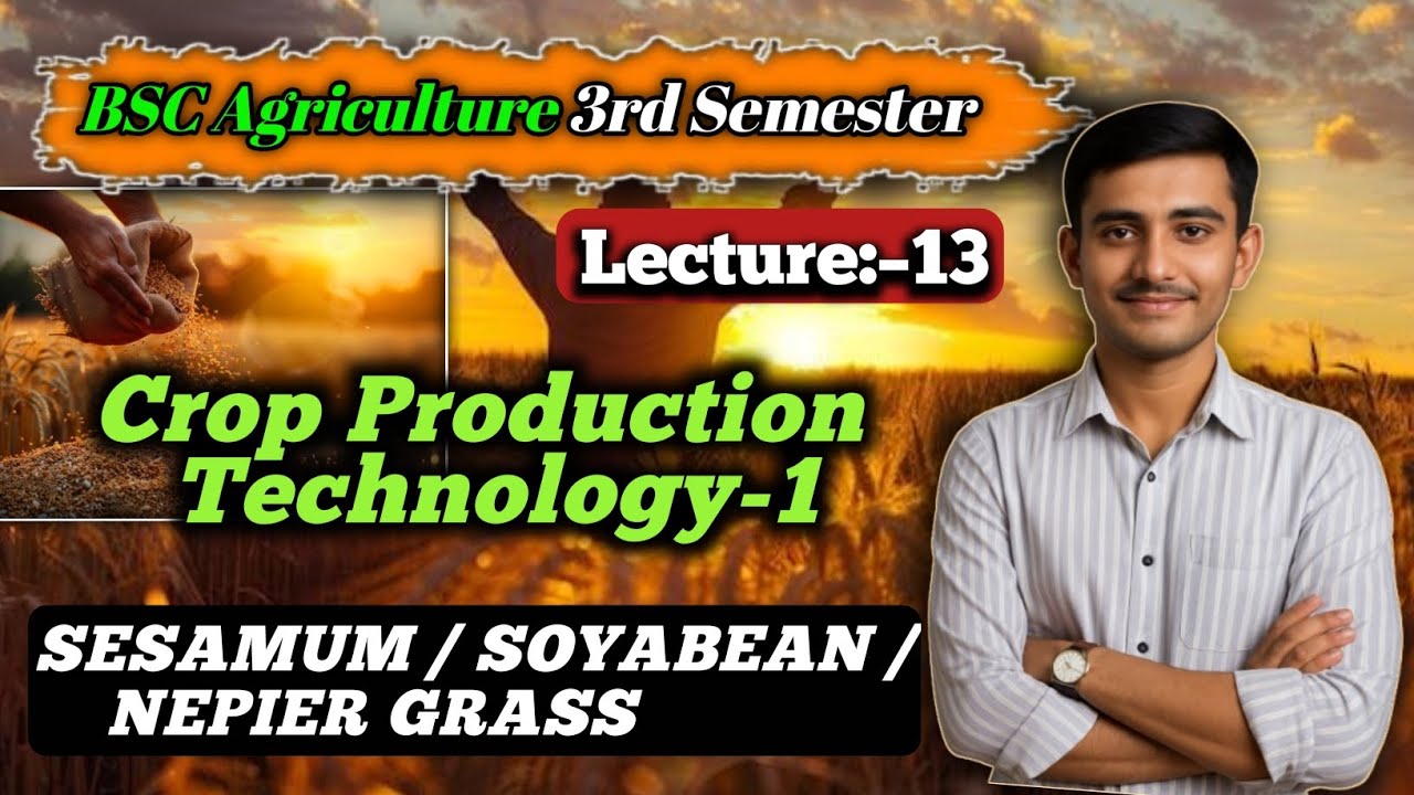 Soybean, Sesamum & Napier Grass Crop Production Technology part-13 /  BSc Agriculture 3rd semester 
