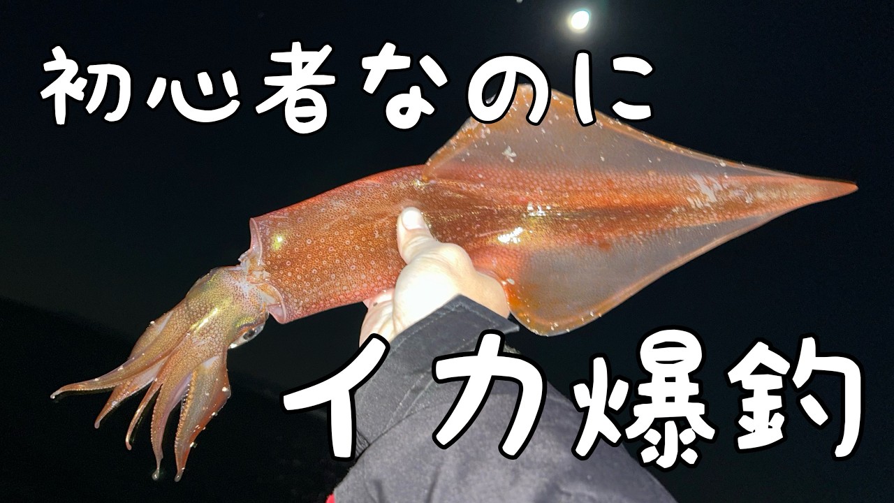 初心者なのに爆釣するイカ釣りがやばい