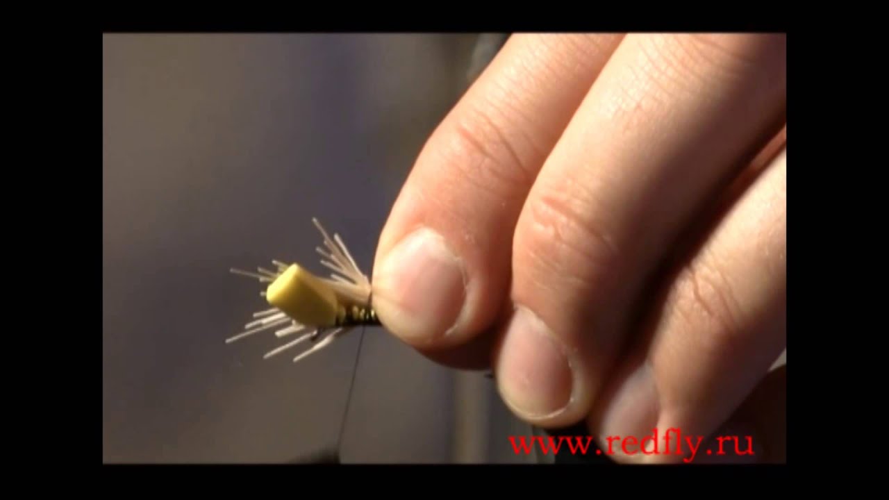 Кузнечик.  Константин Лопухов