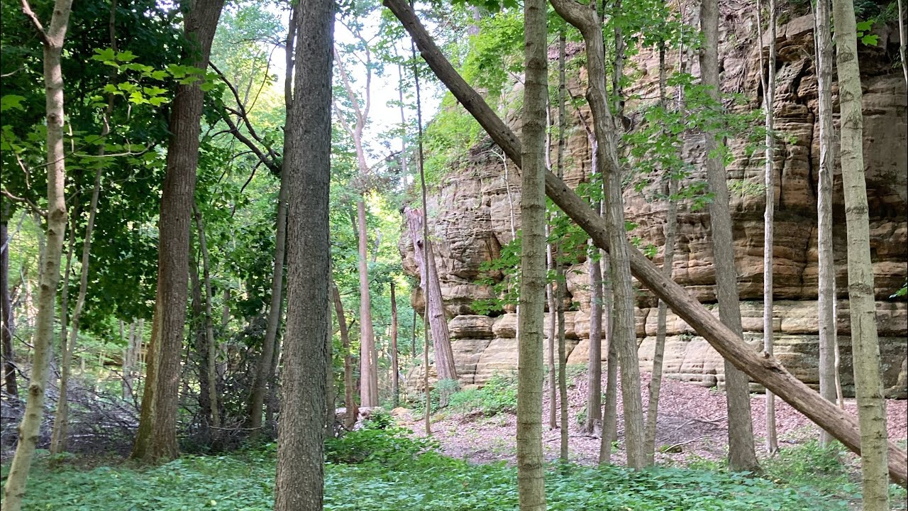 Illinois Canyon at Starved Rock State Park, IL
