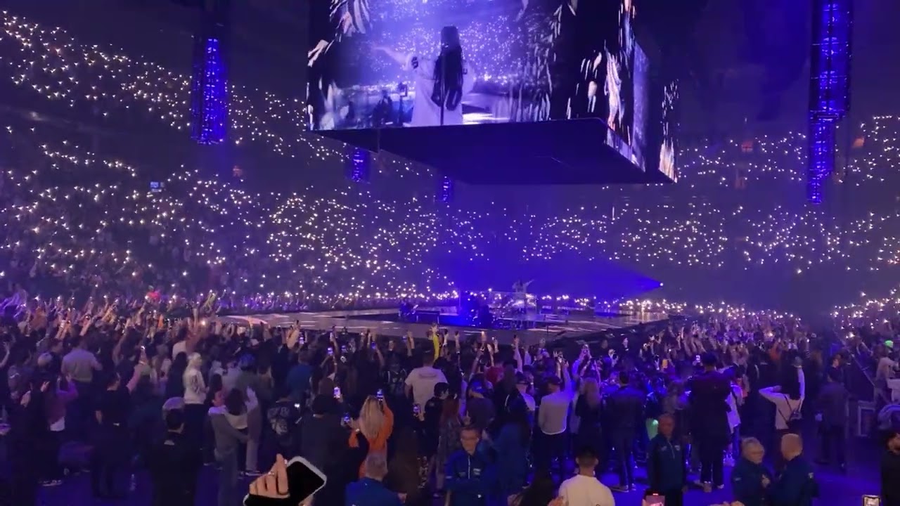 Wildflower - Billie Eilish - Vancouver - 3-Dec-2024 - Concert - Hit Me Hard And Soft IMG 5566