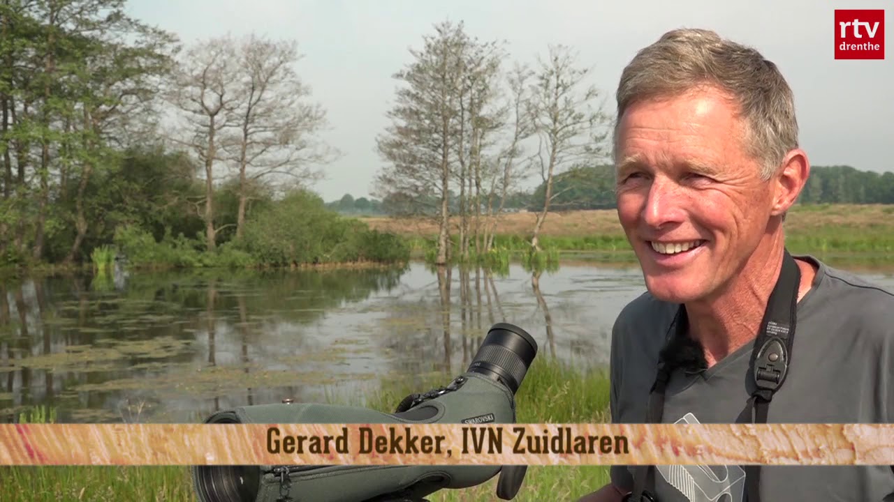 Tusschenwater volop in bloei | Natuurnieuws