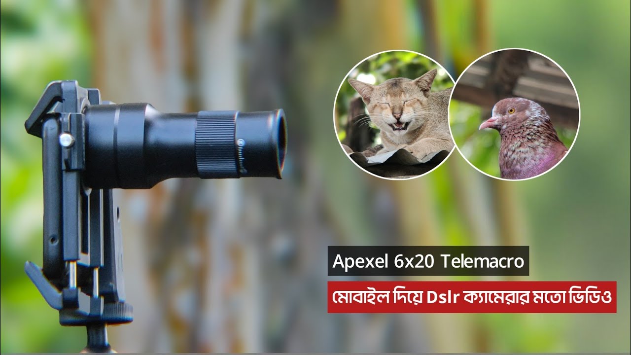 Apexel 6x20 Telemacro | Видео, как у зеркальной камеры, с мобильным телефоном
