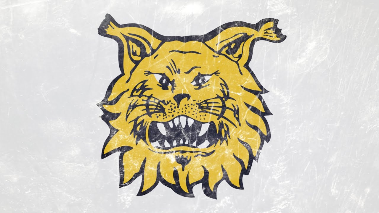 Ilves Maalilaulu 2023-2024 | Ilves Goal Horn 2023-2024
