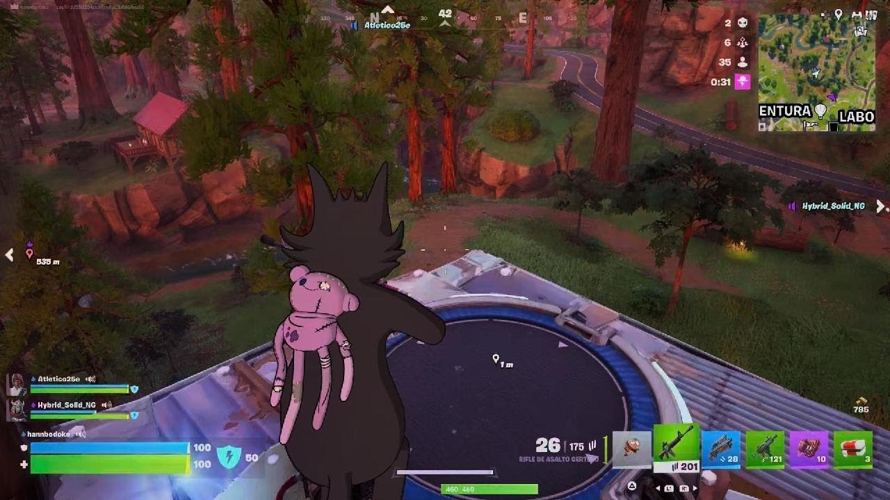 El palloto hace de las suyas (otra vez)-FORTNITE
