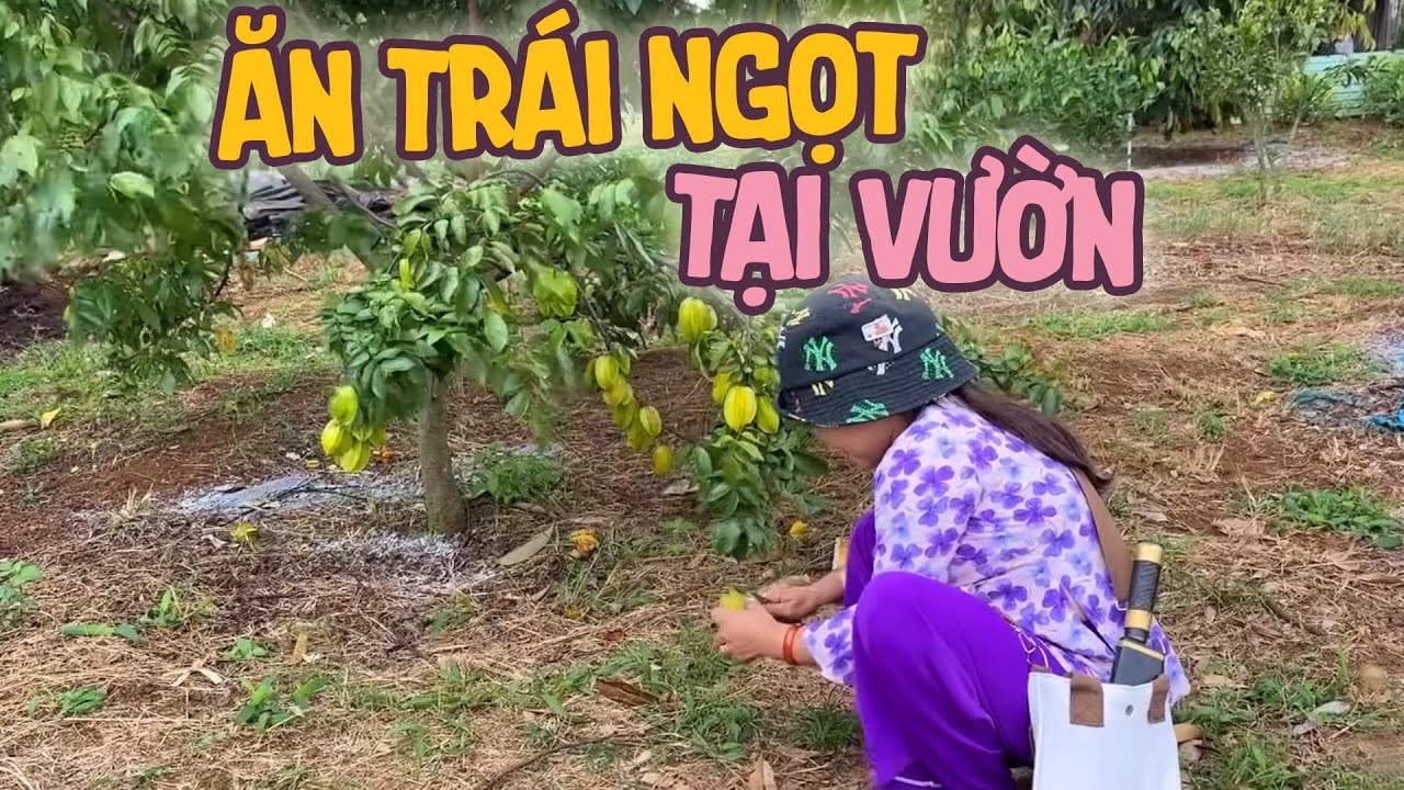 Phần 1: Vợ Chồng B&eacute; Bỏng Đi Rẫy Cập Nhật T&igrave;nh H&igrave;nh Vườn C&acirc;y Ăn Tr&aacute;i & Bất Ngờ || Vợ Chồng B&eacute; Bỏng