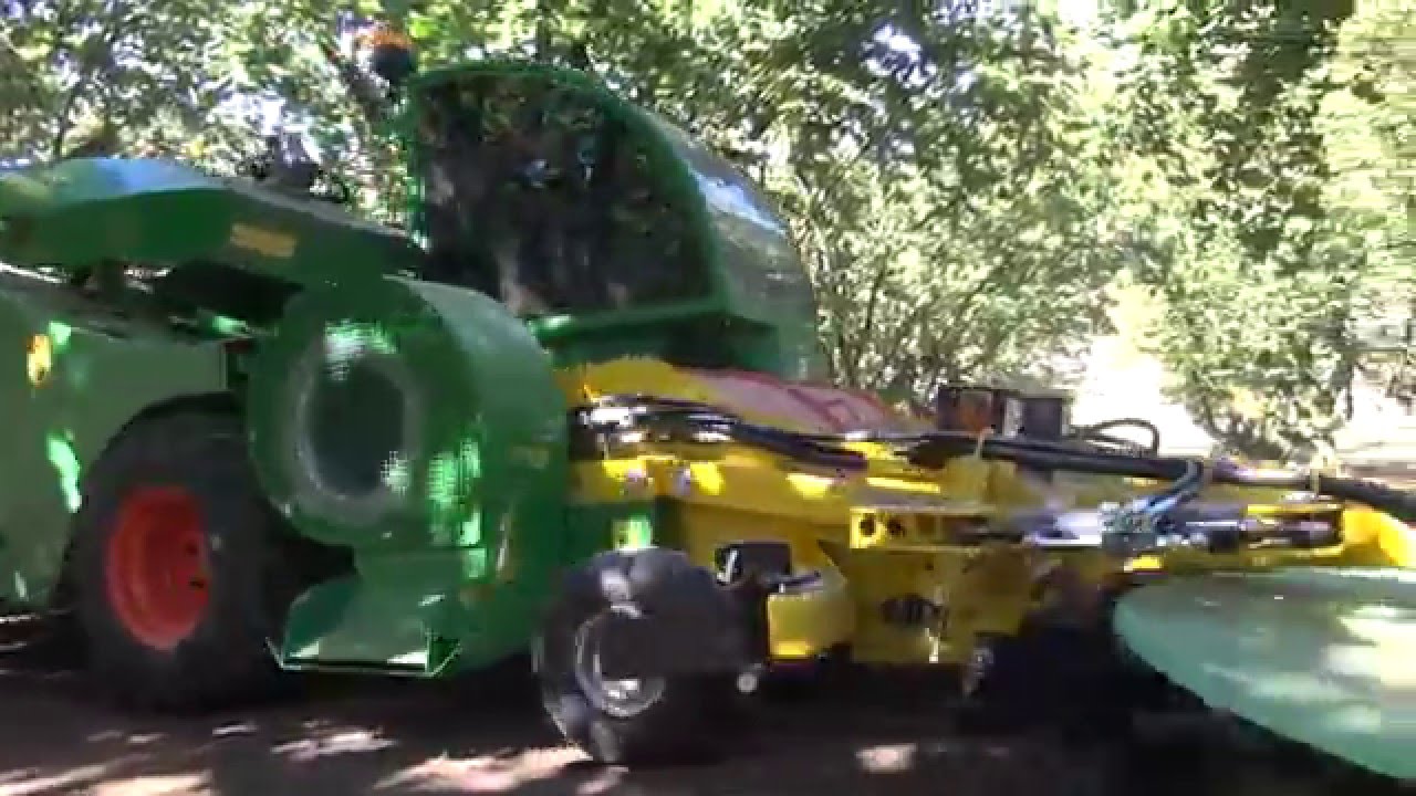 Monchiero Model 2095 Hazelnut Harvester - Pape' Machinery