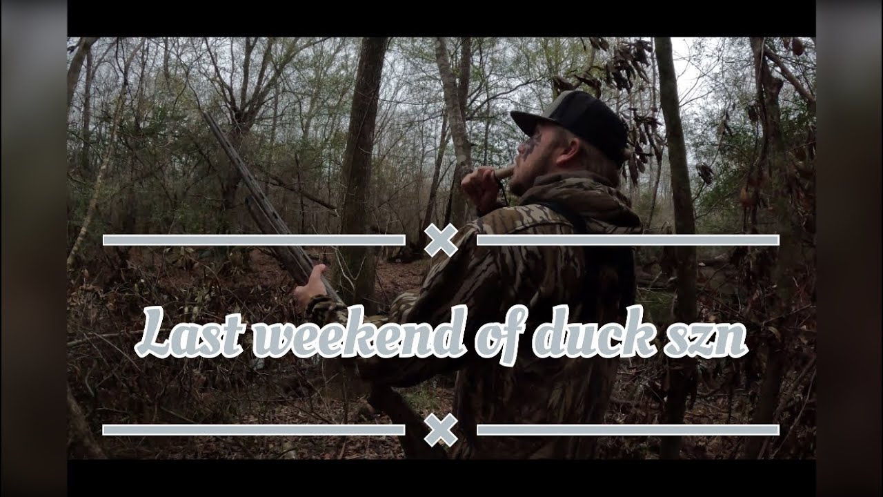 The final hunt for duck season!!!