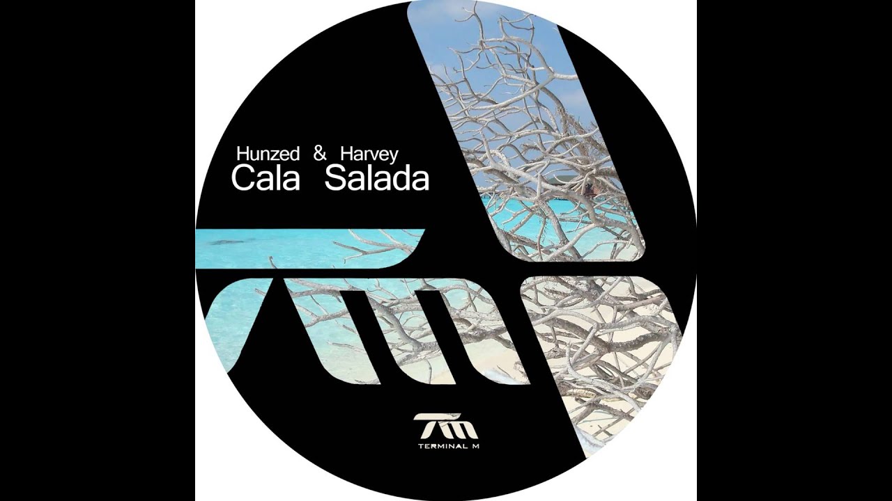 Hunzed & Harvey - Cala Salada (David Mayer Remix)