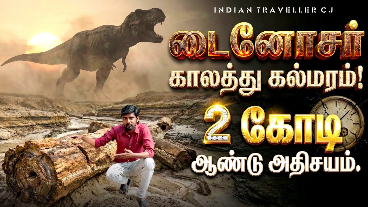 2 கோடி ஆண்டுகளுக்கு முன் வாழ்ந்த மரங்கள் | Thiruvakkarai Fossil Wood Tree | Indian Traveller CJ 