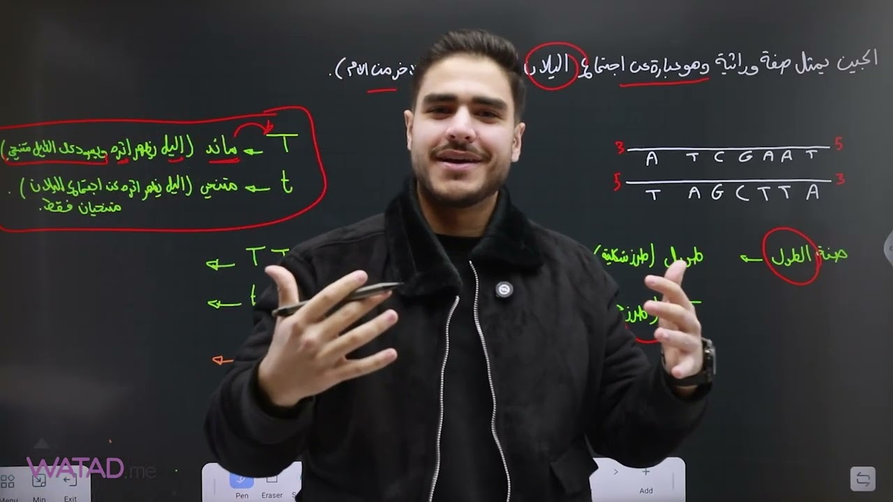 تأسيس الوراثة + شرح قانون مندل الأول أحياء التوجيهي أ.محمد العبسي موقع وتد