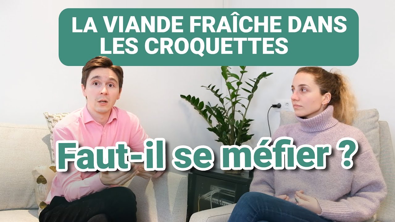 3 Vérités sur la viande fraîche dans les croquettes chien & chat - CROQ' la Vie