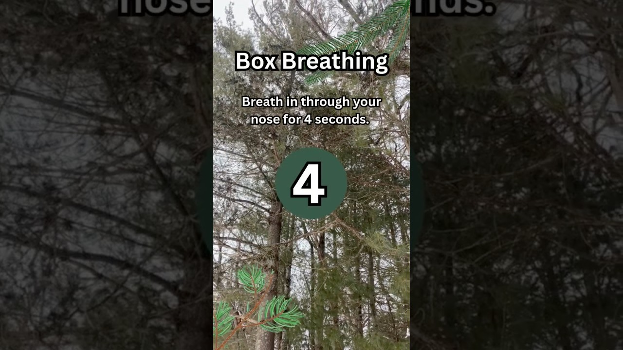 Box Breathing (Counting Down) 