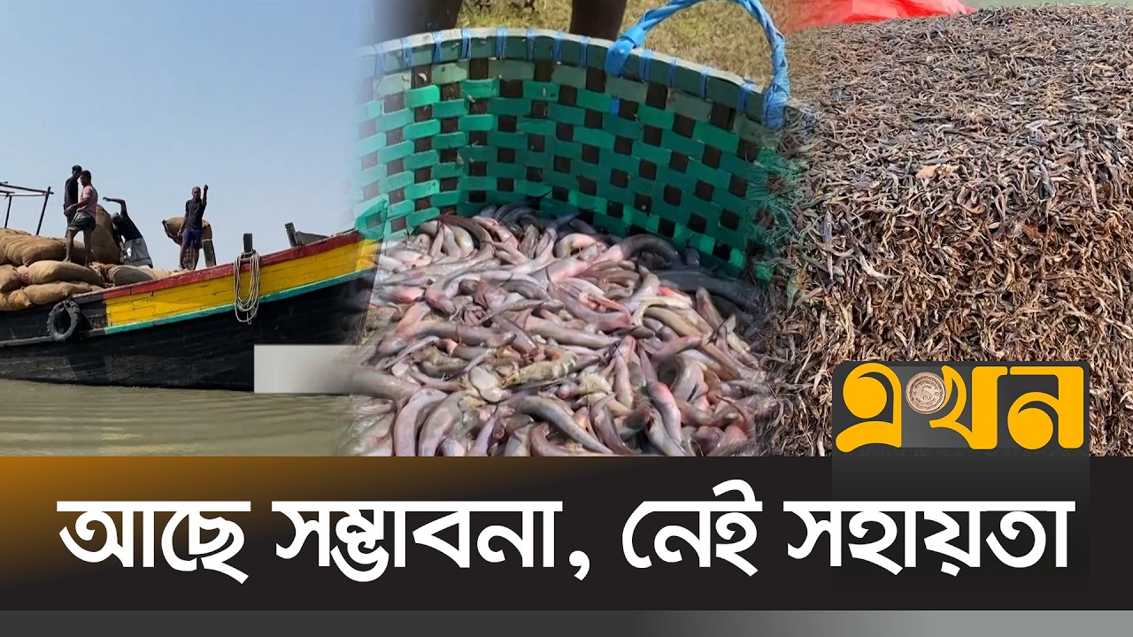 স্টোরেজ ও পরিবহন সংকটে হাতিয়ার শুঁটকি শিল্প | Noakhali News | Dry Fish | Ekhon TV