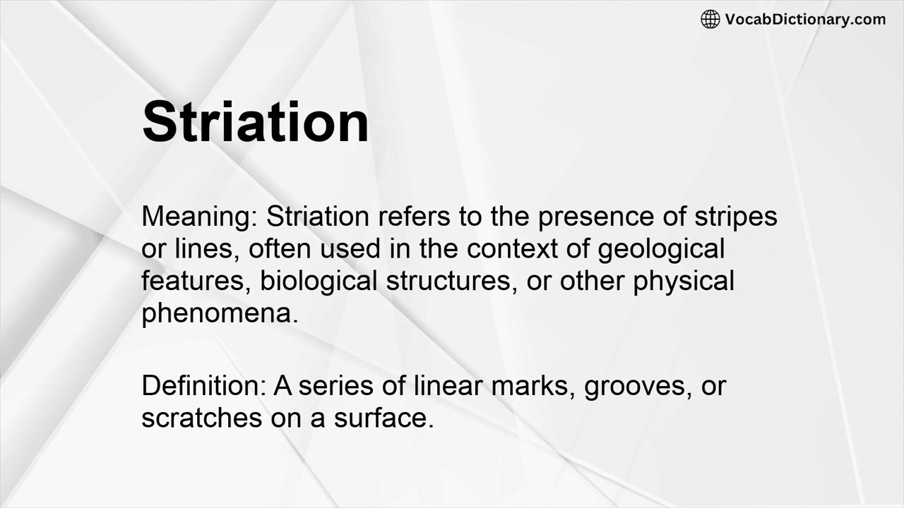 Striation Meaning