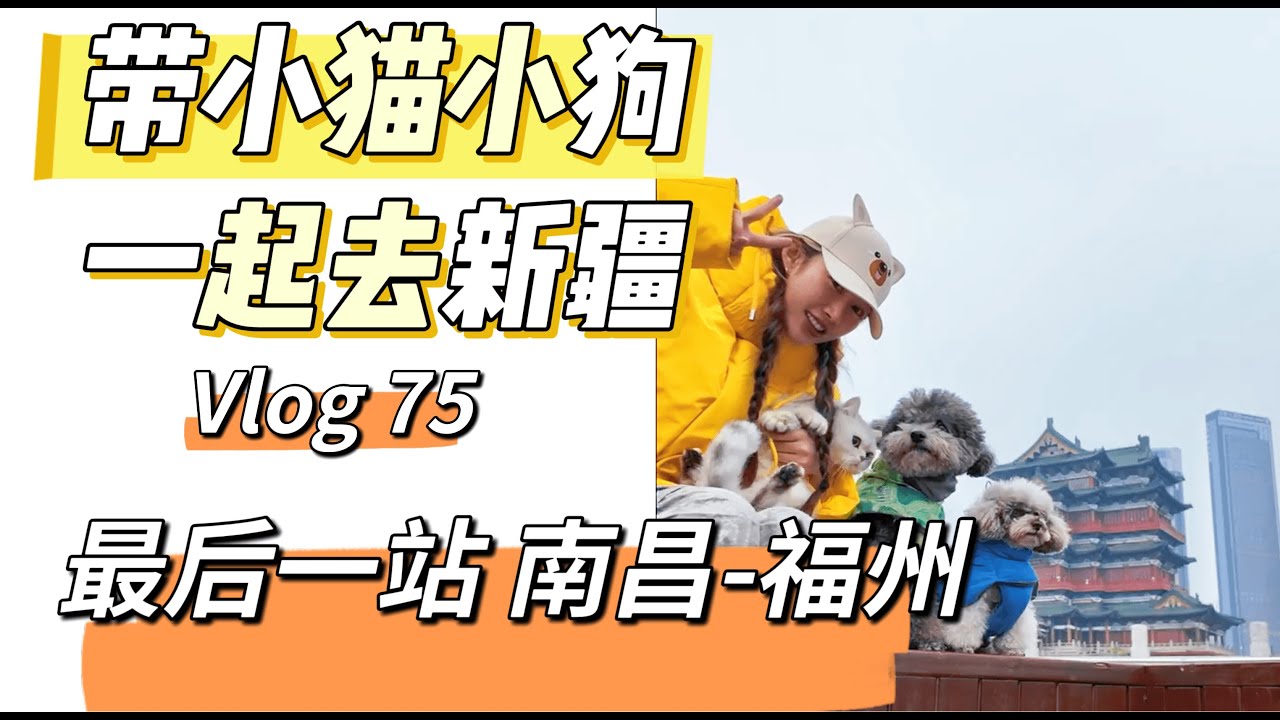 带小猫小狗一起去新疆 75集 最后一站 回福州咯 历时79天 把崽子们全须全尾的带回家