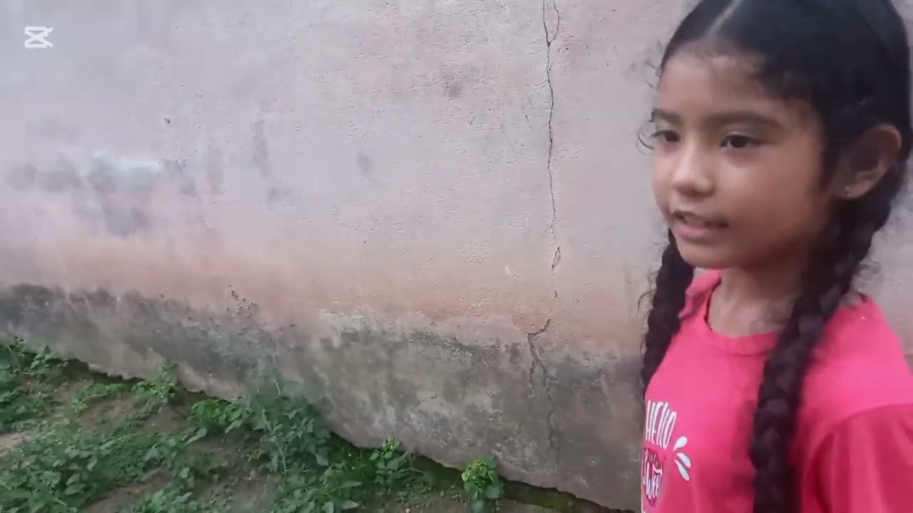 Обычный день Шаи в Индии
