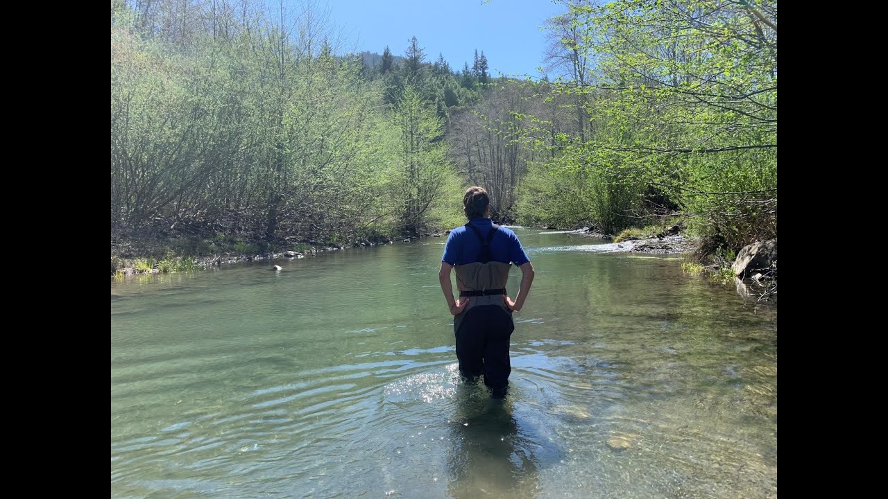 Creek Days 2021 - Watershed Wander