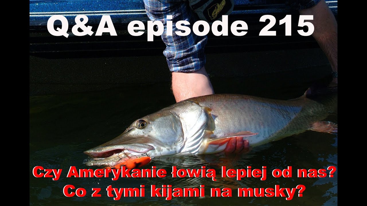 Q&A odcinek 2015 - Amerykańskie bassy i musky. Czy są aż takie silne?