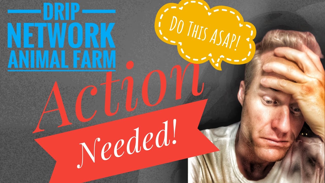 💧DRIP NETWORK | ⚠️Urgent Update⚠️| NEXT STEPS TO TAKE...