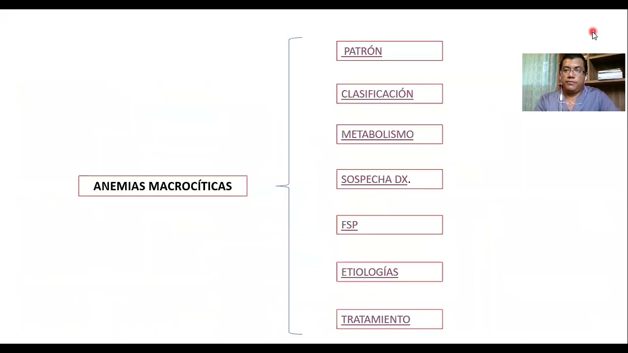ABORDAJE DE ANEMIAS MACROCÍTICAS