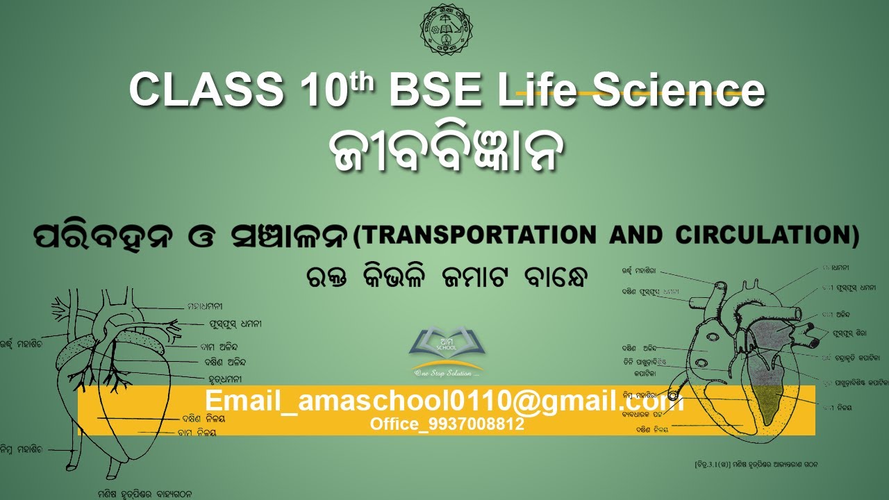Class 10th BSE Odisha/Life Science/Paribahana oSanchalana/Rakta Kibhali Jamata Bandhe/Blood Clotting