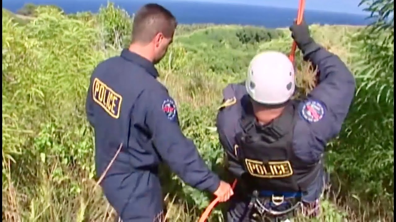 Cops Tv show Maui Hawaii. Marijuana extraction. (2004).
