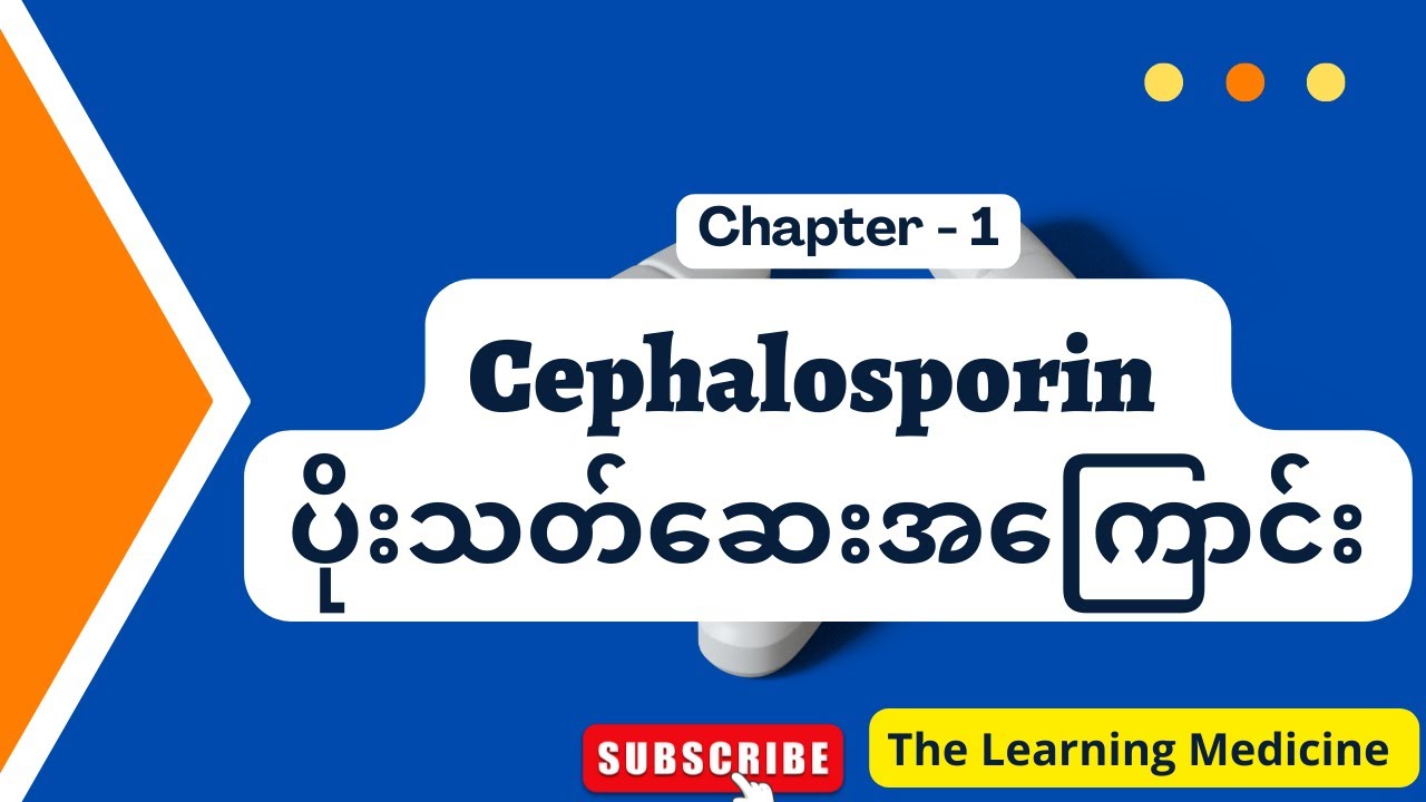 Cephalosporin ပိုးသတ်ဆေးအကြောင်းအစအဆုံး