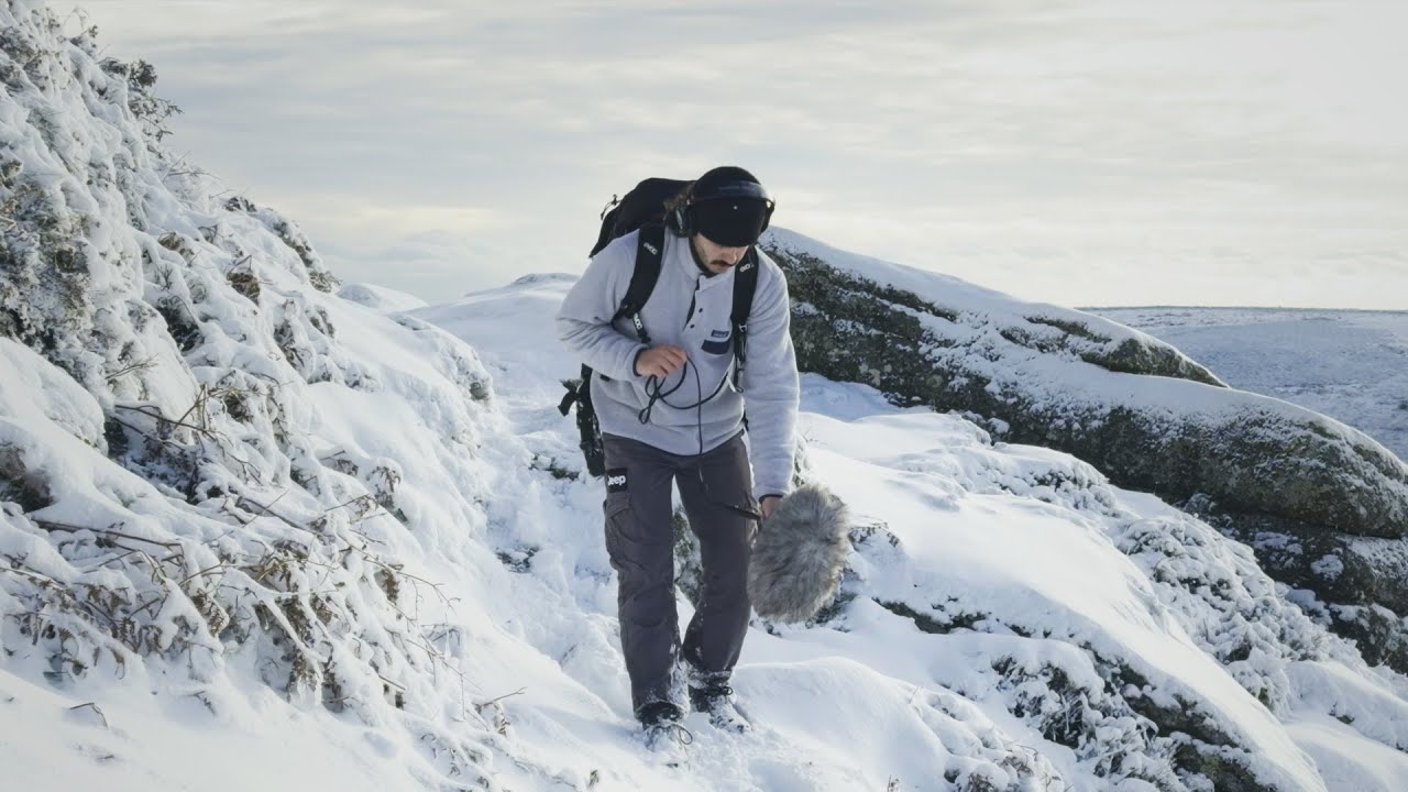 Capturing the Chilly Sounds of Snow
