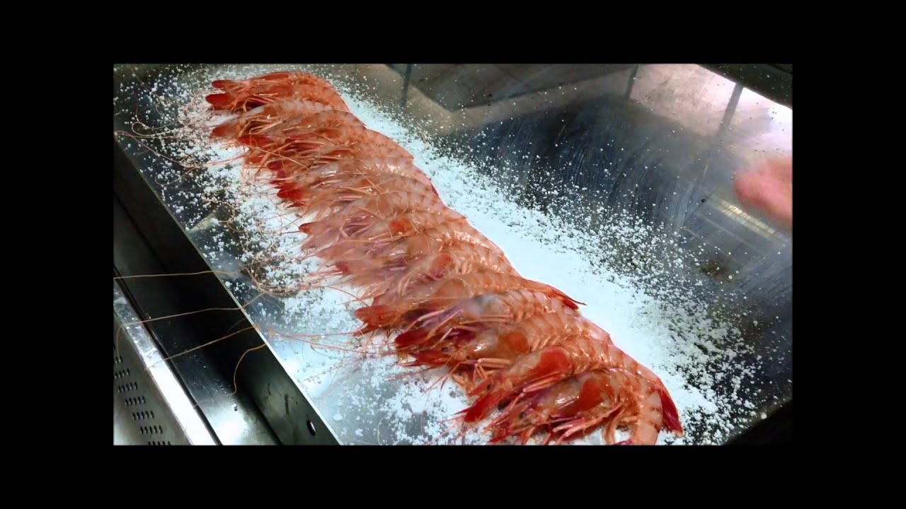gamba roja a la plancha por  www.lagambaroja.com