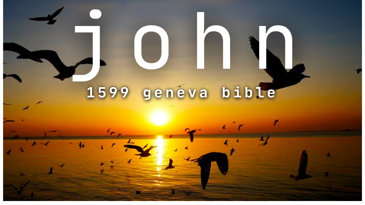 John - 1599 Geneva Audio Bible