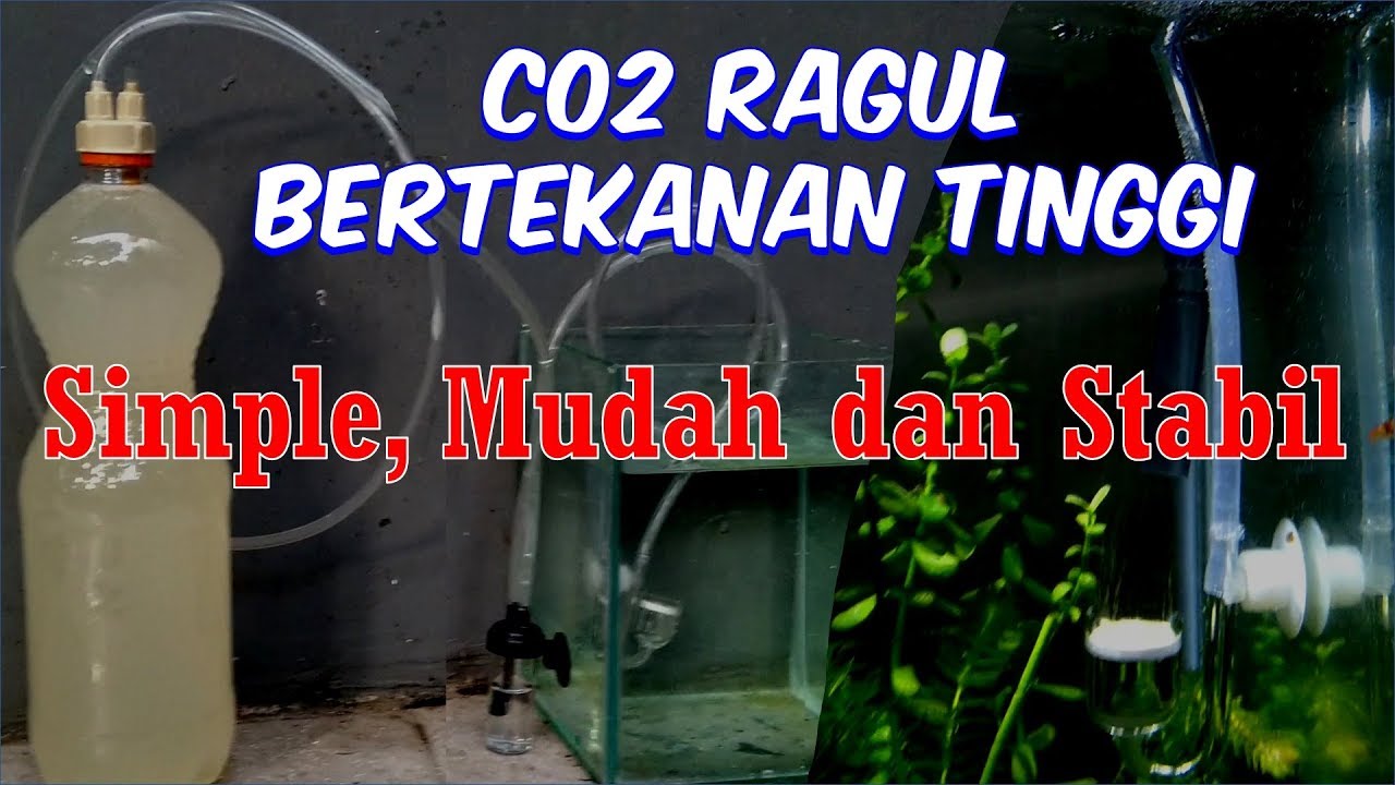 Membuat CO2 Gula Ragi Tembus Diffuser, Tekanan Tinggi