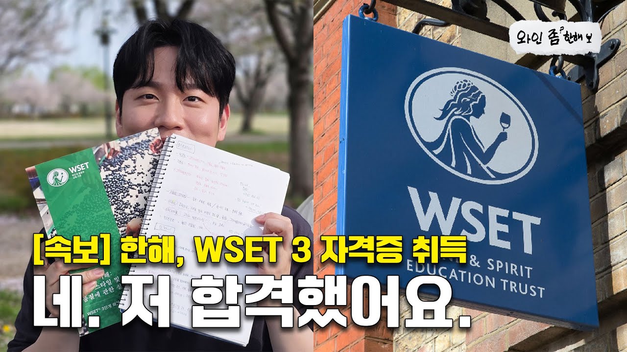 국내 유일 WSET 3급 취득한 연예인 등극💥 내가 해냄 [와인 좀 한해]