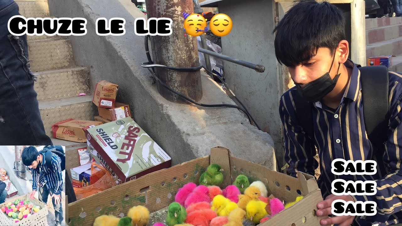 I bought chicks 🐣/  Sabiqrathorevlogs / Must watch / #kishtwar #jammuandkashmir