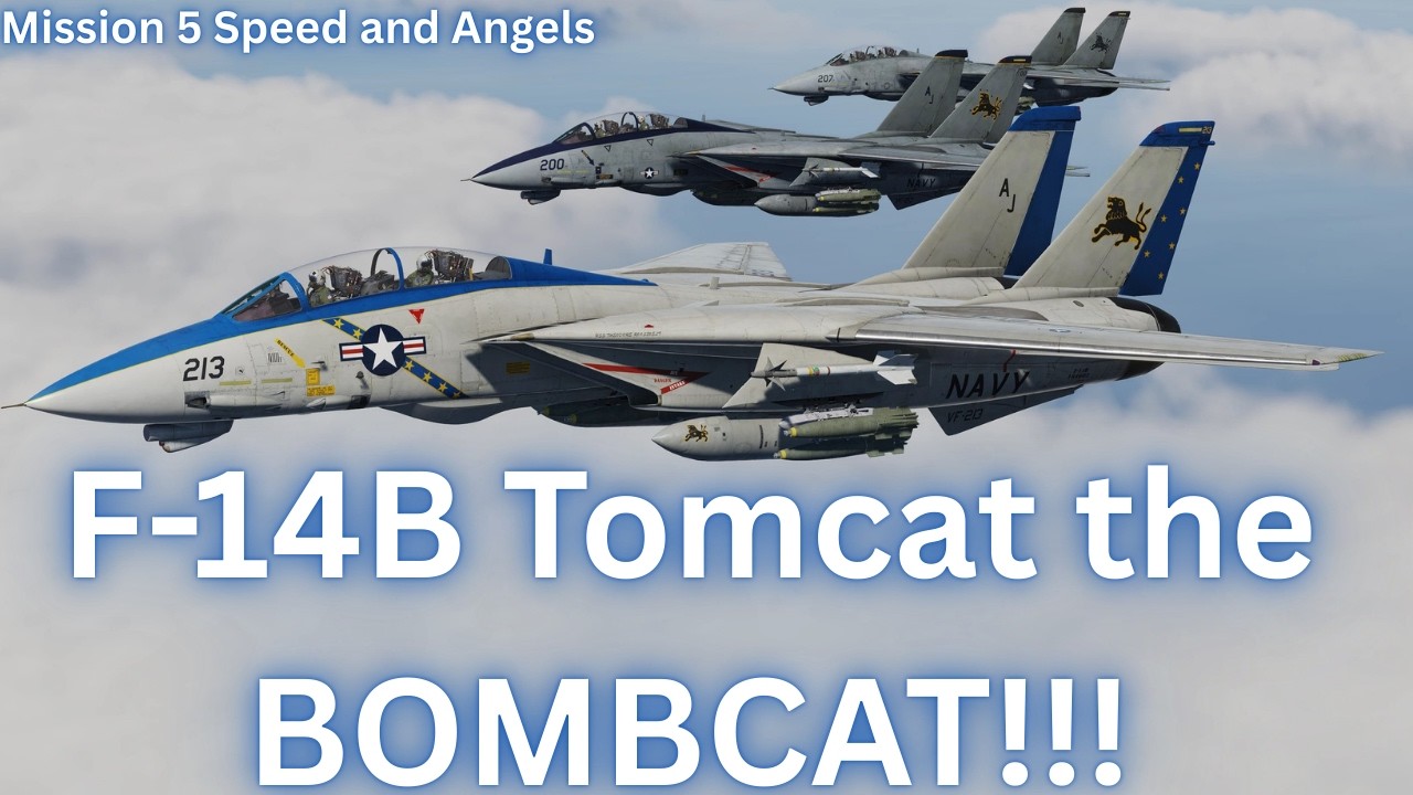 F-14B Tomcat — «Бомбокот»! DCS
