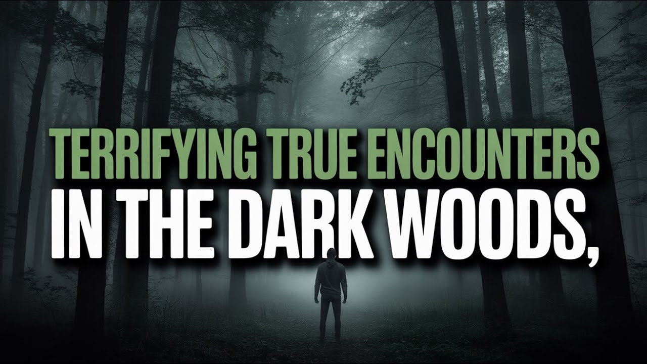 7 Unsettling Experiences While Camping Alone in the Woods That Still Don't Make Any Sense
