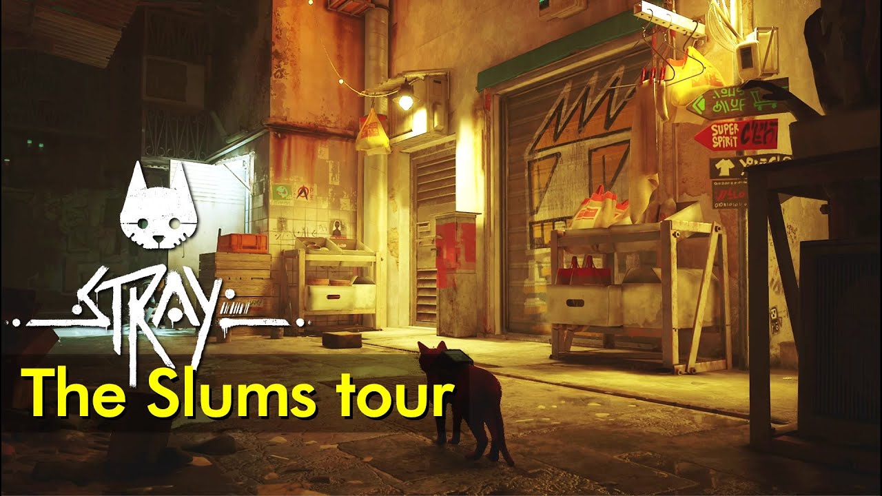 The Slums tour | Stray