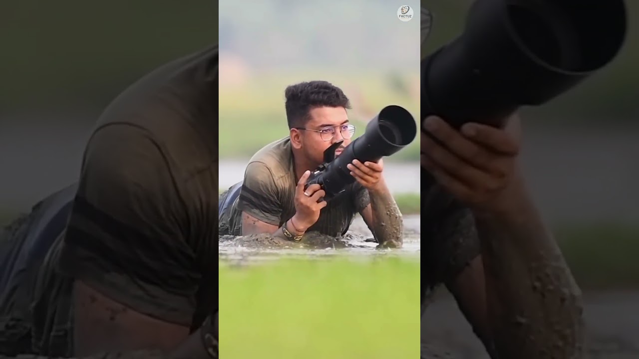 Wildlife Photography: One Click, One Life 😳📸