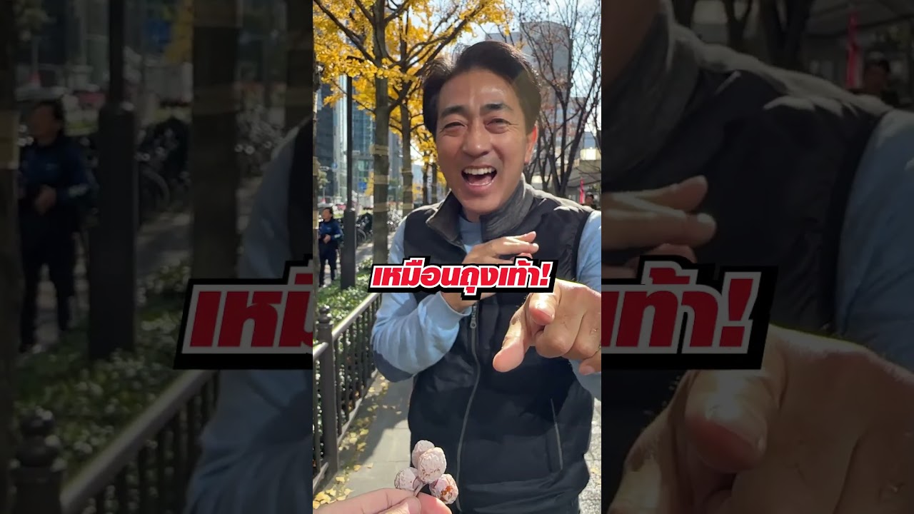 ใบแปะก๊วยในฤดูใบไม้เปลี่ยนสีนักท่องเที่ยวมองว่าสวย คนญี่ปุ่นรู้กันว่ามีเอามาแกล้งคนได้!