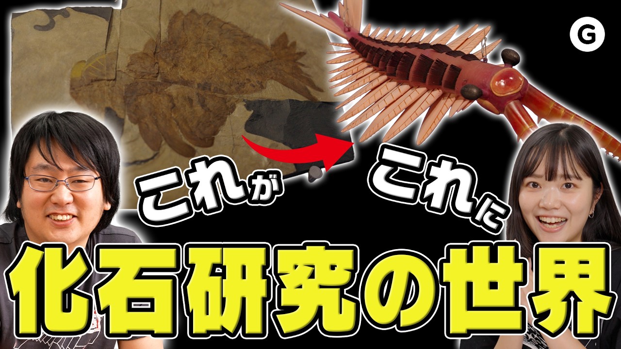 えびせんから立体に🦐 化石研究の世界が深すぎた【大絶滅展】