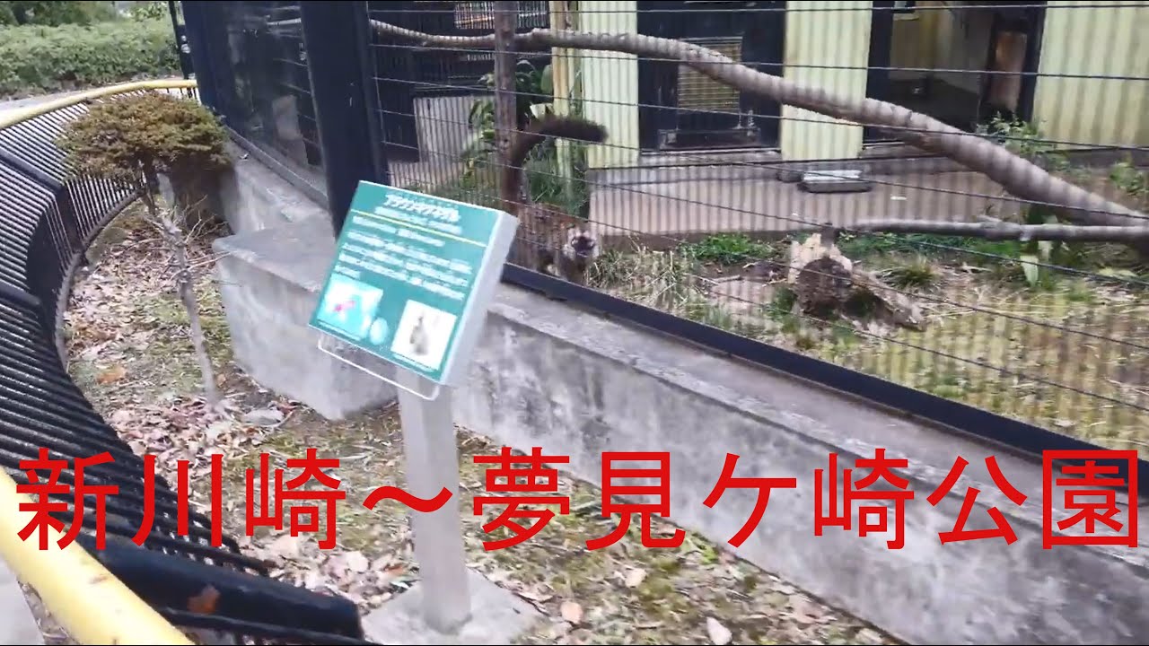 新川崎から夢見ヶ崎へ  2021 古墳と動物園   Shin-kawasaki and Yumemigasaki