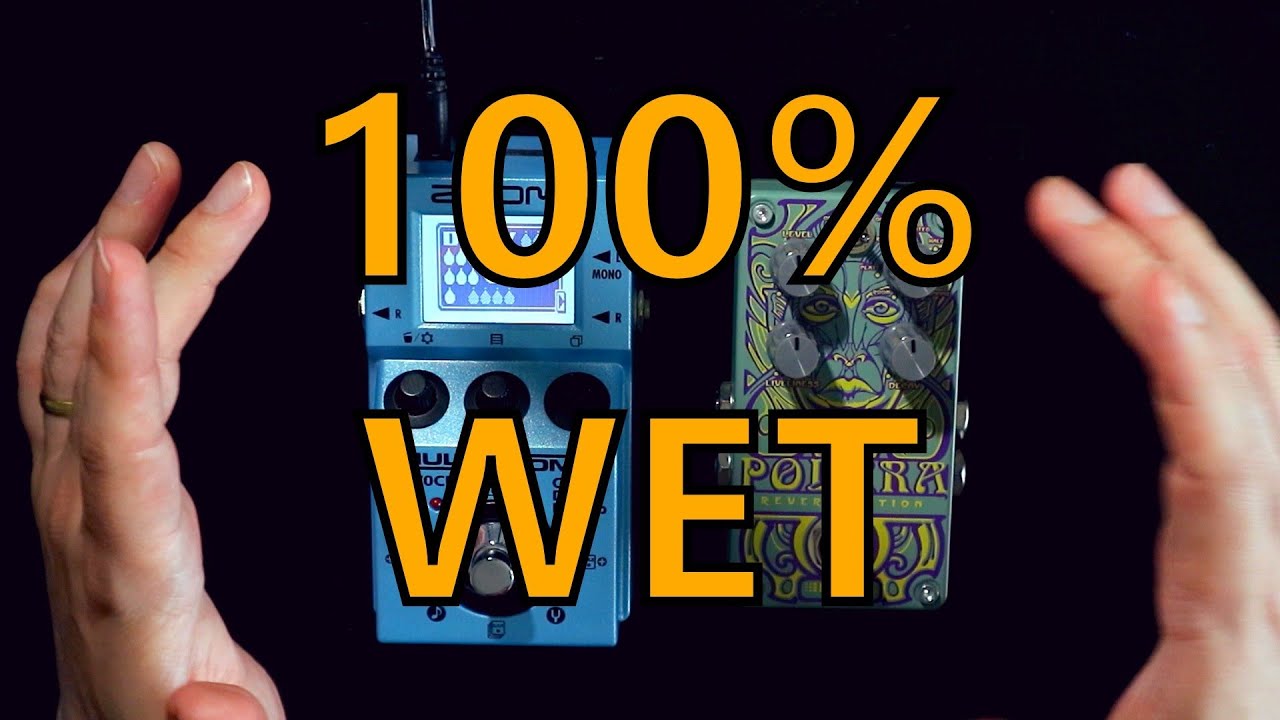 Zoom MS-70CDR vs. Digitech Polara - In-Depth Reverb Shoot-Out!